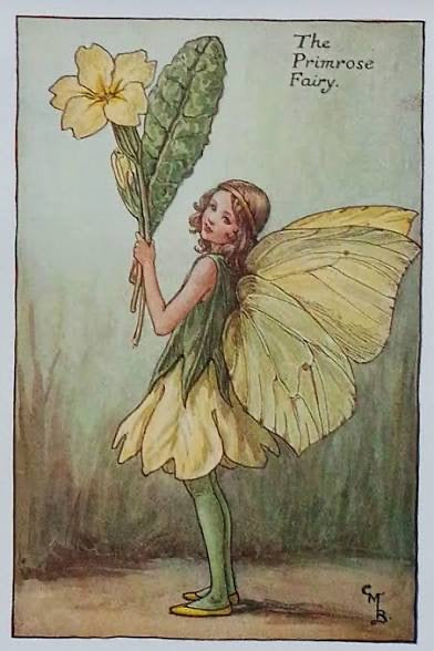 The Primrose Fairy