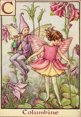 The Columbine Fairy