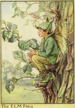 The Elm Fairy